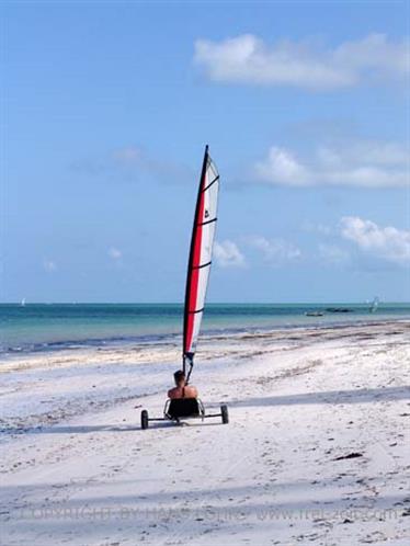 Beach walk, Zanzibar, DSC06864b